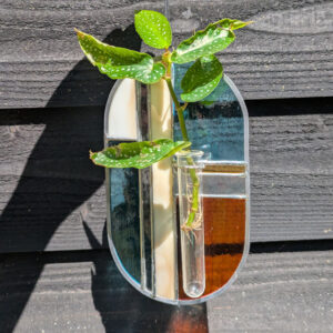 stekvaasje rood blauw